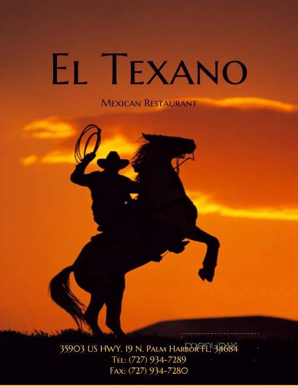 El Texano - Palm Harbor, FL